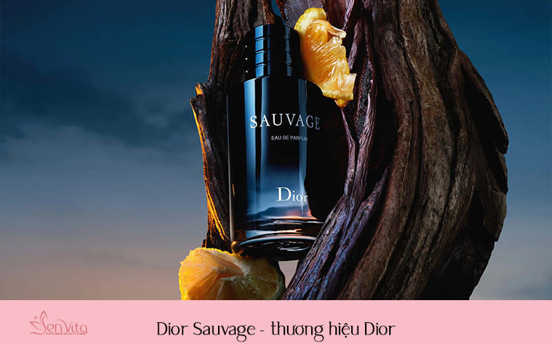 Dior Sauvage - thương hiệu Dior