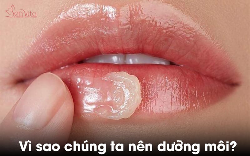 Vì sao chúng ta nên dưỡng môi?