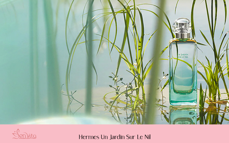 Hermes Un Jardin Sur Le Nil