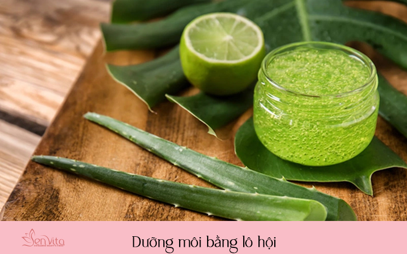 Dưỡng môi bằng lô hội