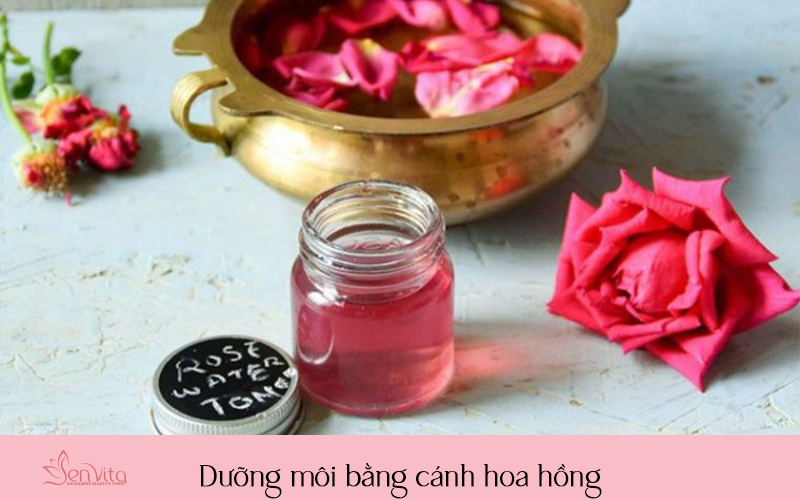 Dưỡng môi bằng cánh hoa hồng