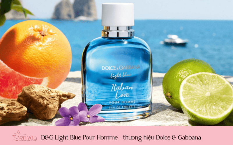 D&G Light Blue Pour Homme - thương hiệu Dolce & Gabbana