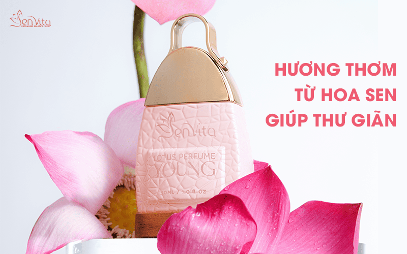 Hương thơm từ hoa sen giúp thư giãn và dễ chịu