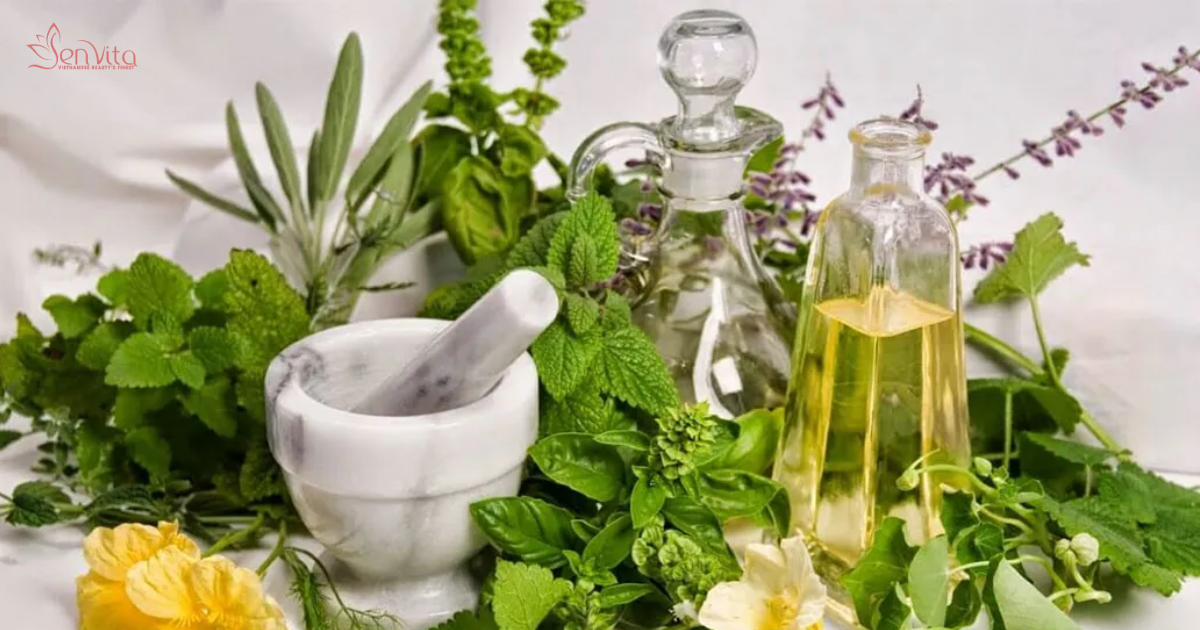 Khám phá bảng thành phần tinh khiết và giàu dưỡng chất của tẩy tế bào chết thuần chay