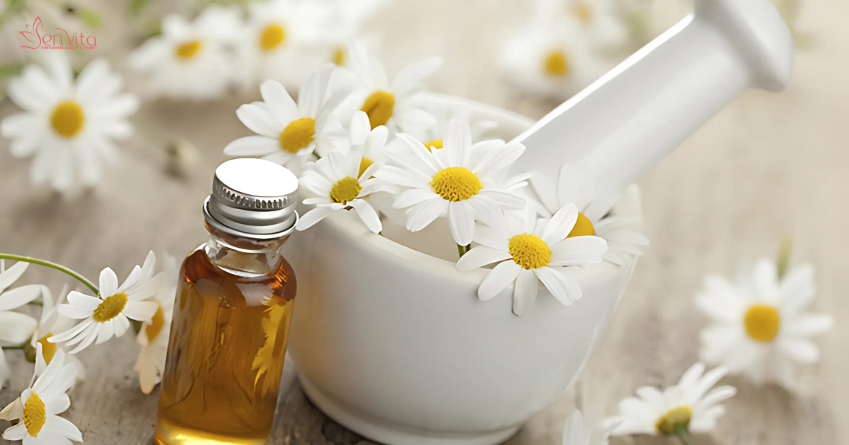 Làm dịu da dầu và mụn với mặt nạ hoa cúc - Giàu apigenin và chất chống oxy hóa